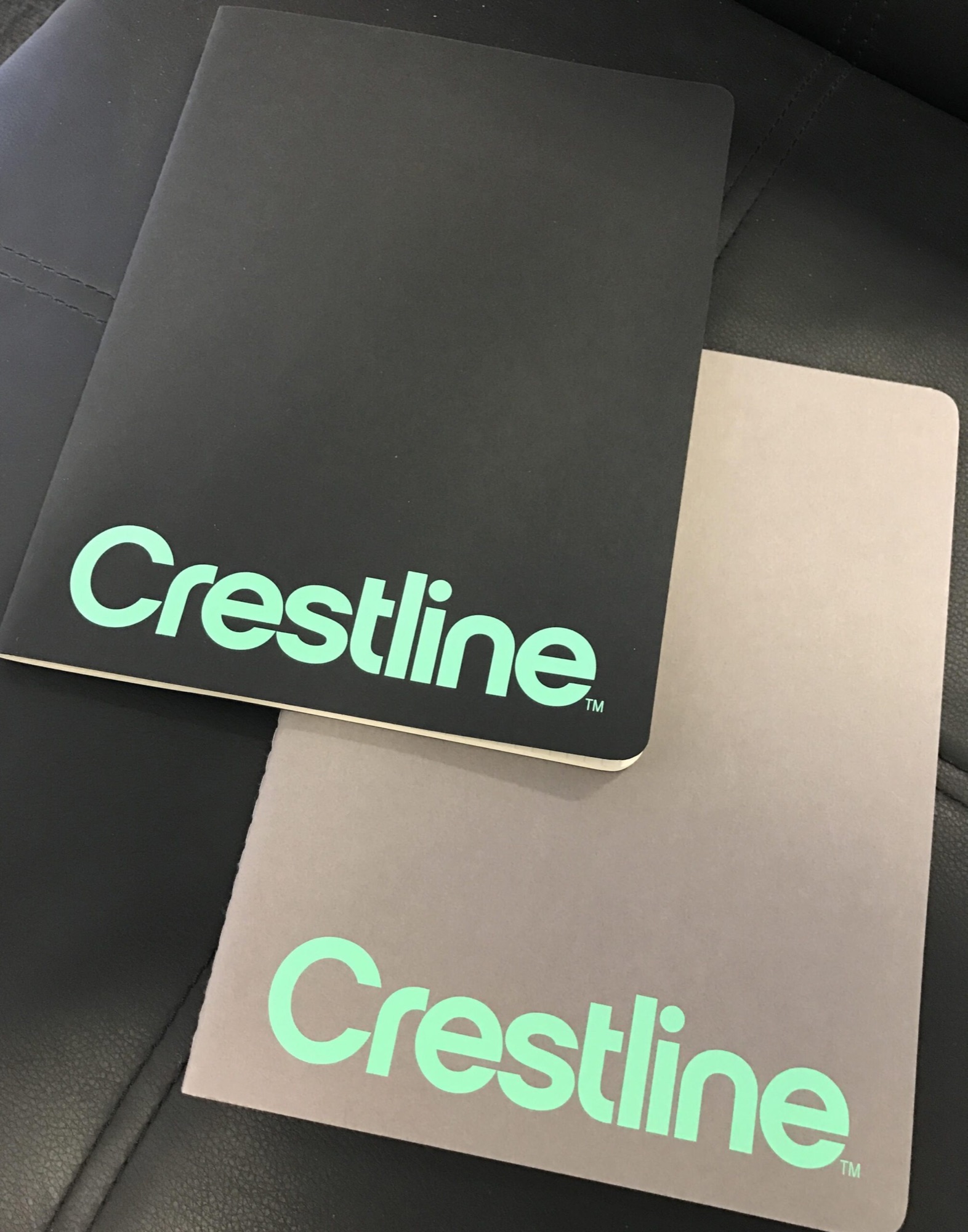 Moleskine Covers