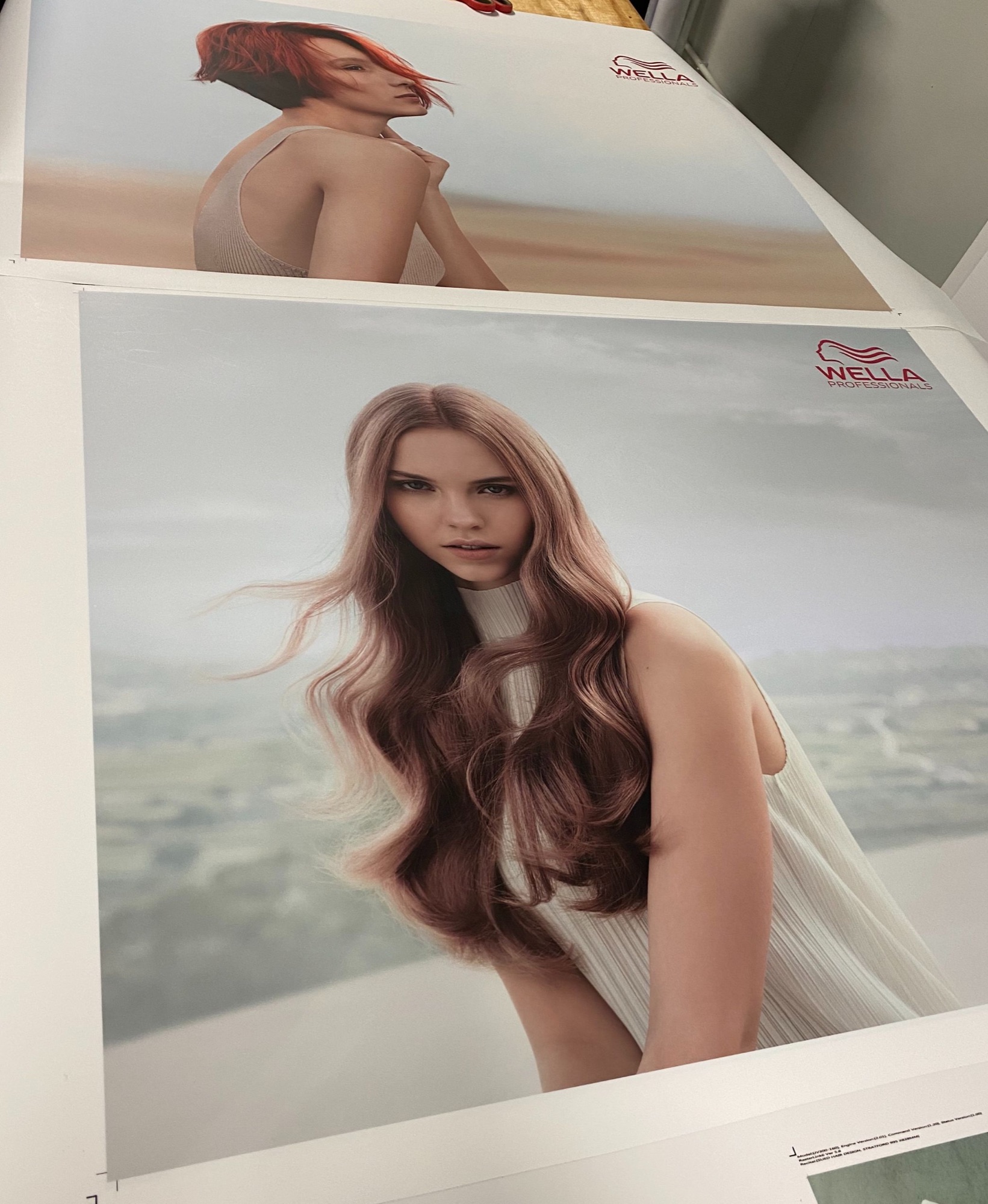 Printed Wella campaign posters